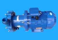 FTI MODEL DB22P-B-35 PUMPING BRINE