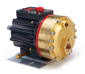 Wanner G series API pump