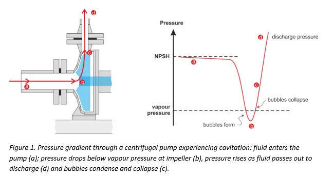 Cavitation Chart