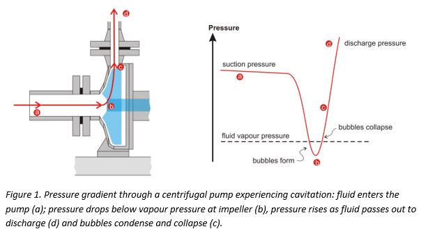 Useful information on pump cavitation