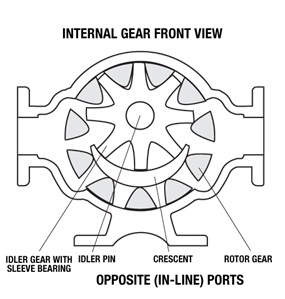 INTERNAL GEAR FRONT VIEW