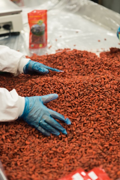 pumps for chocolate production